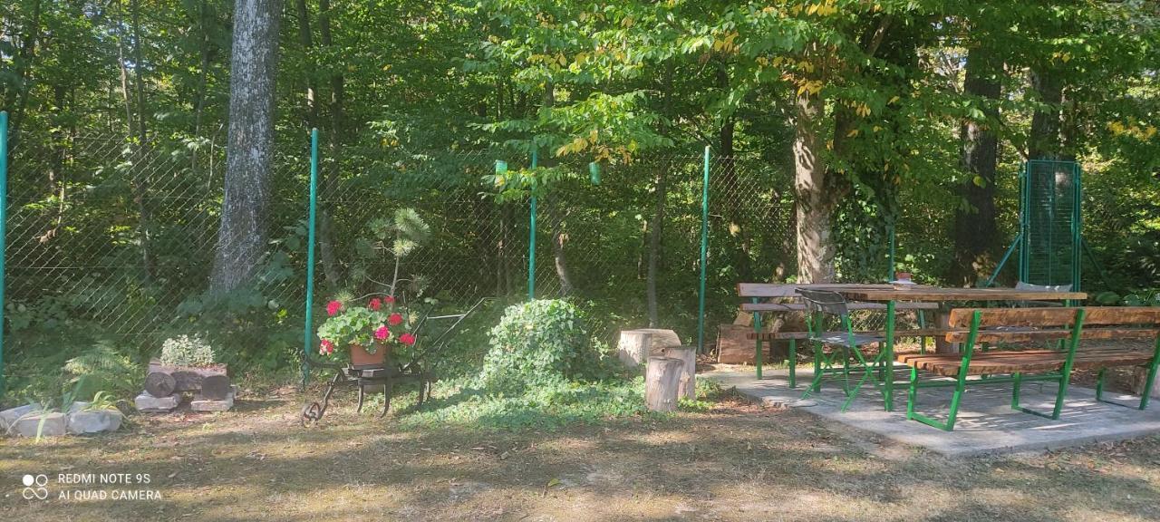 Holiday Home Nina Petrinja Exterior photo